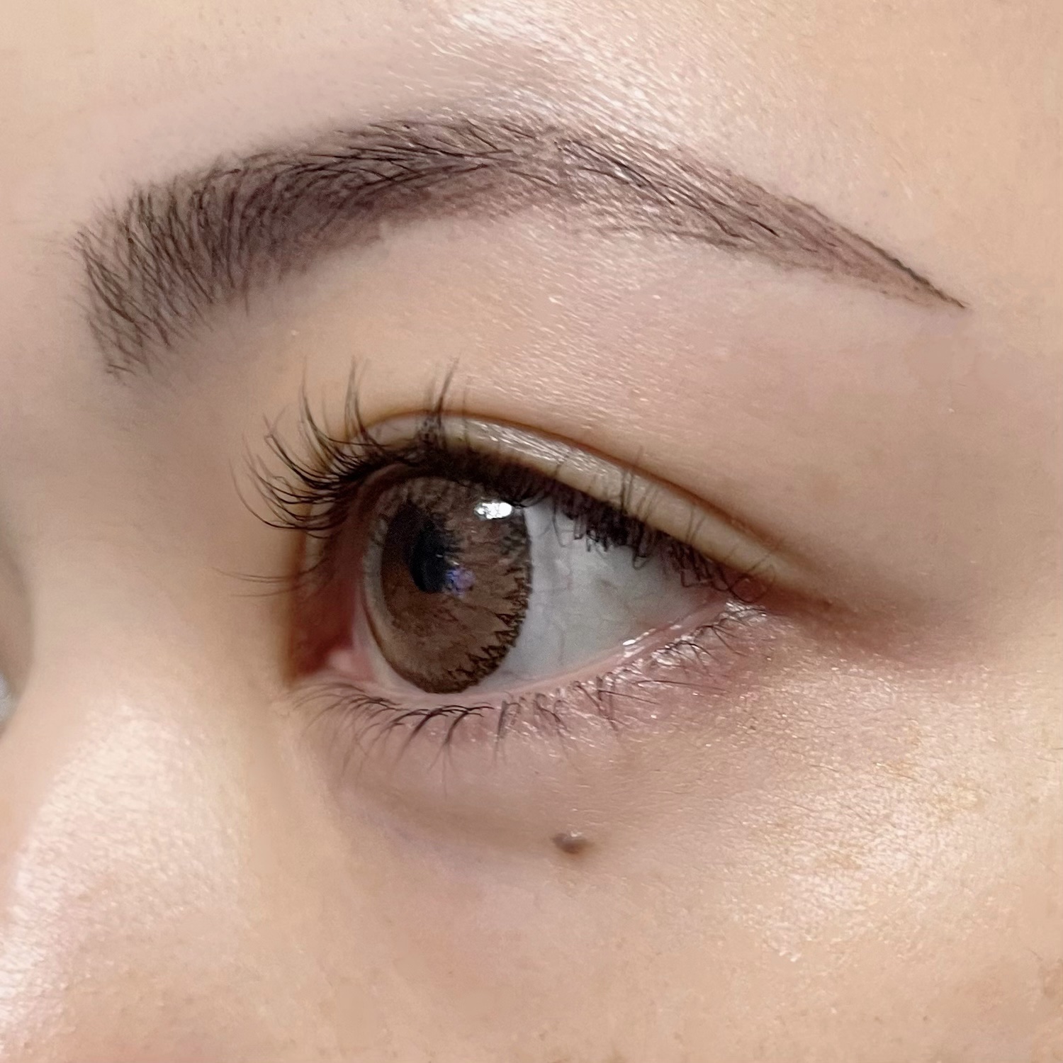 まつ毛パーマキット/LEPOREM/その他キットセットを使ったクチコミ（2枚目）