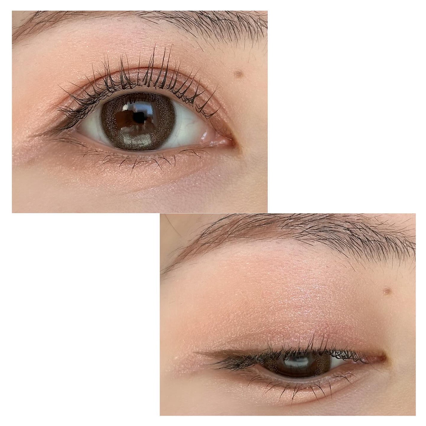 メロウシャドウ/KiSS/ジェル・クリームアイシャドウを使ったクチコミ(5枚目)