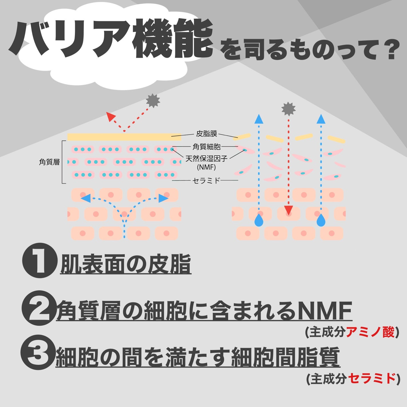 デュアルバリアクリーミートナー/celimax/化粧水を使ったクチコミ(4枚目)