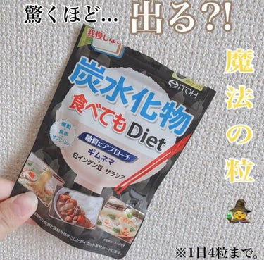 炭水化物 食べてもDiet/井藤漢方製薬/ボディサプリメントを使ったクチコミ（1枚目）