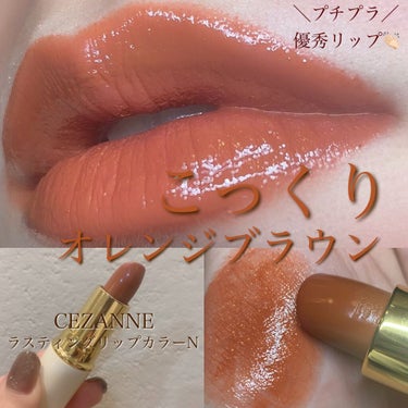 ラスティング リップカラーN 504 オレンジ系/CEZANNE/口紅を使ったクチコミ（1枚目）