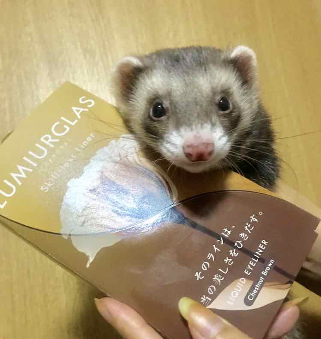 スキルレスライナー/LUMIURGLAS/リキッドアイライナーを使ったクチコミ(2枚目)