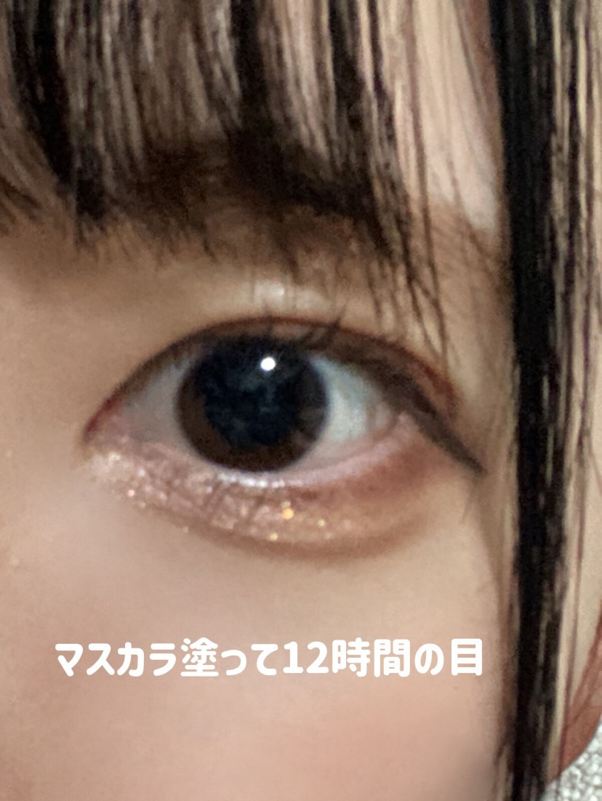ラッシュボーン ブラックファイバーイン/MAJOLICA MAJORCA/マスカラ下地を使ったクチコミ（3枚目）