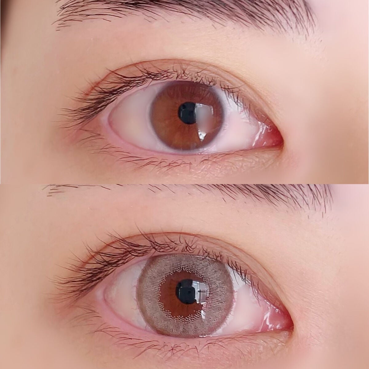 ペガビジョン 1day モイスト/CRUUM/ワンデー(1DAY)カラコンを使ったクチコミ(3枚目)