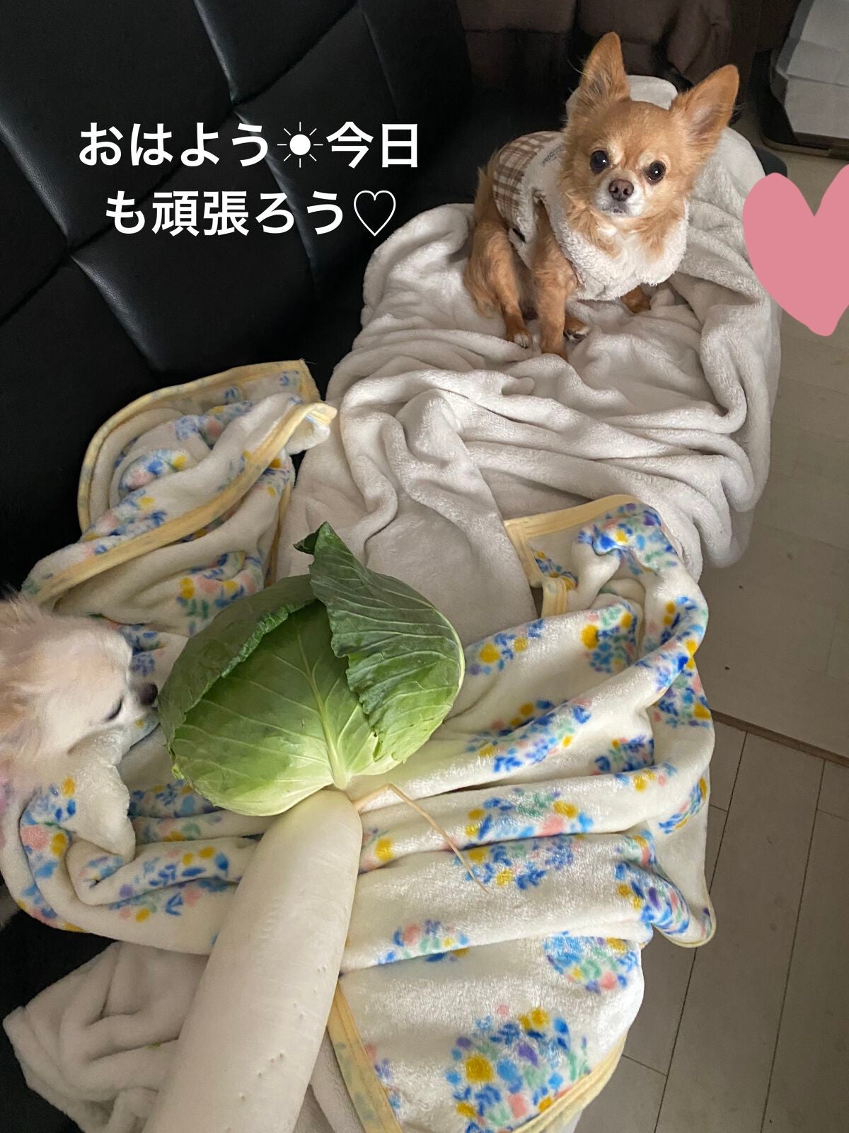 アディクション ザ ブラッシュ ニュアンサー/ADDICTION/パウダーチークを使ったクチコミ(8枚目)