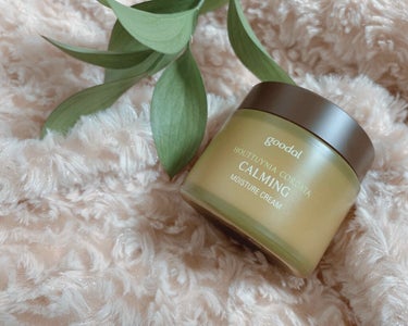 こんにちは🙋‍♀️
今回はこちら！

▶︎goodal CALMING moistureCream

青みかんのビタCセラムで有名なグーダルの魚腥茶ラインのクリームになります💁‍♀️


ビタCセラムに