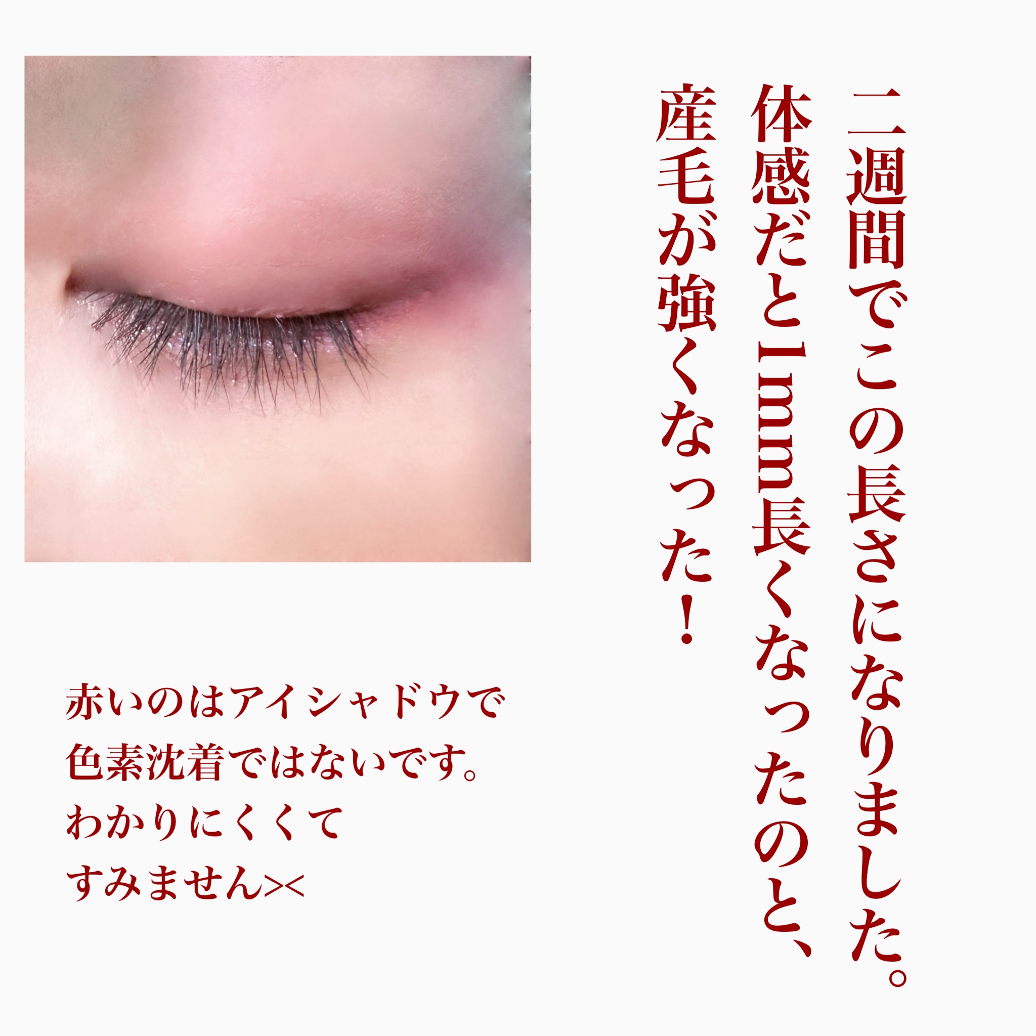 ロングアクティブアイラッシュセラム/COSNORI/まつげ美容液を使ったクチコミ（3枚目）