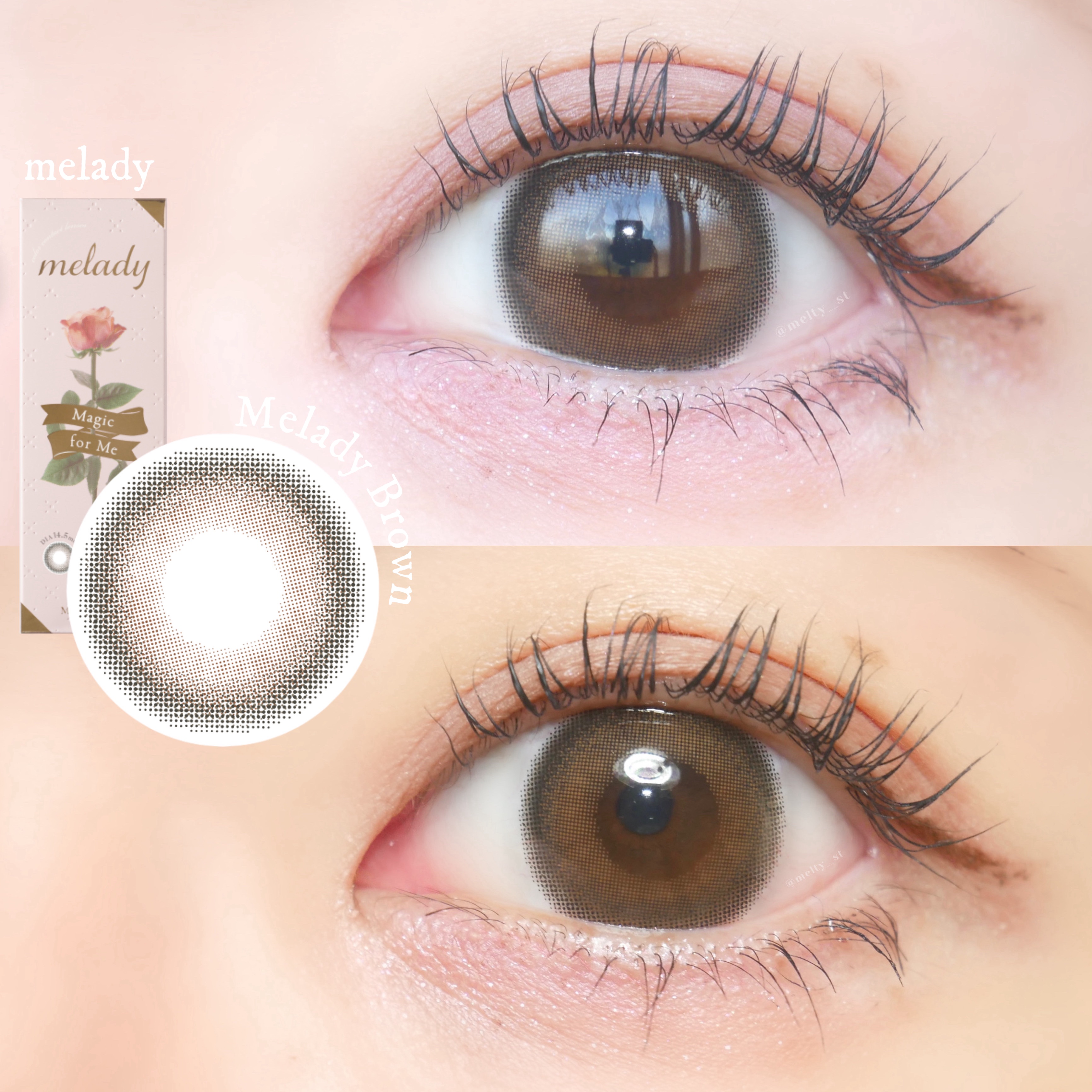 melady 1day  ミレディブラウン/melady/ワンデー（１DAY）カラコンを使ったクチコミ（1枚目）