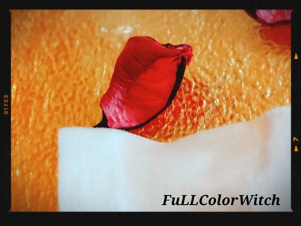 クリアウェルネス ピュア コンクSS/雪肌精/化粧水を使ったクチコミ(3枚目)