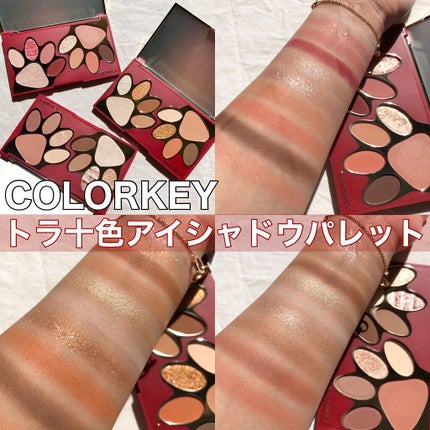 トラ十色アイシャドウパレット/COLORKEY/アイシャドウパレットを使ったクチコミ(1枚目)