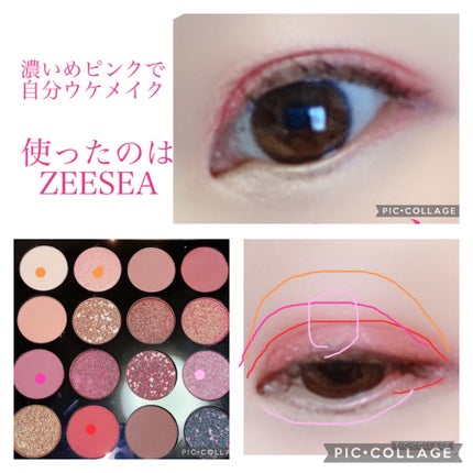 大英博物館 エジプトシリーズ アイシャドウパレット/ZEESEA/アイシャドウパレットを使ったクチコミ(2枚目)