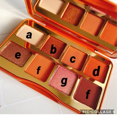 ソルテッド キャラメル ミニ アイシャドウ パレット/Too Faced/アイシャドウパレットを使ったクチコミ（5枚目）