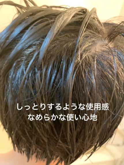 メロウシャンプー/メロウトリートメント/plus eau/市販シャンプーを使ったクチコミ(5枚目)