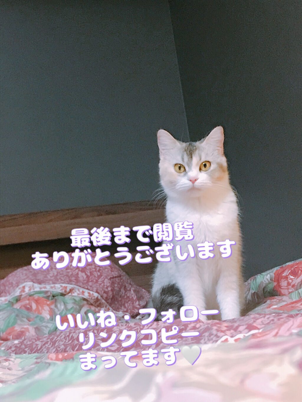 マダムジュジュ/ジュジュ/フェイスクリームを使ったクチコミ（3枚目）