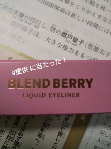 プレイフル リキッドアイライナー/BLEND BERRY/リキッドアイライナーを使ったクチコミ（1枚目）