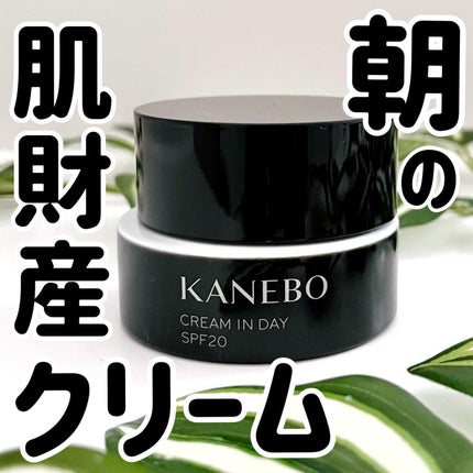 クリーム イン デイ/KANEBO/フェイスクリームを使ったクチコミ(1枚目)