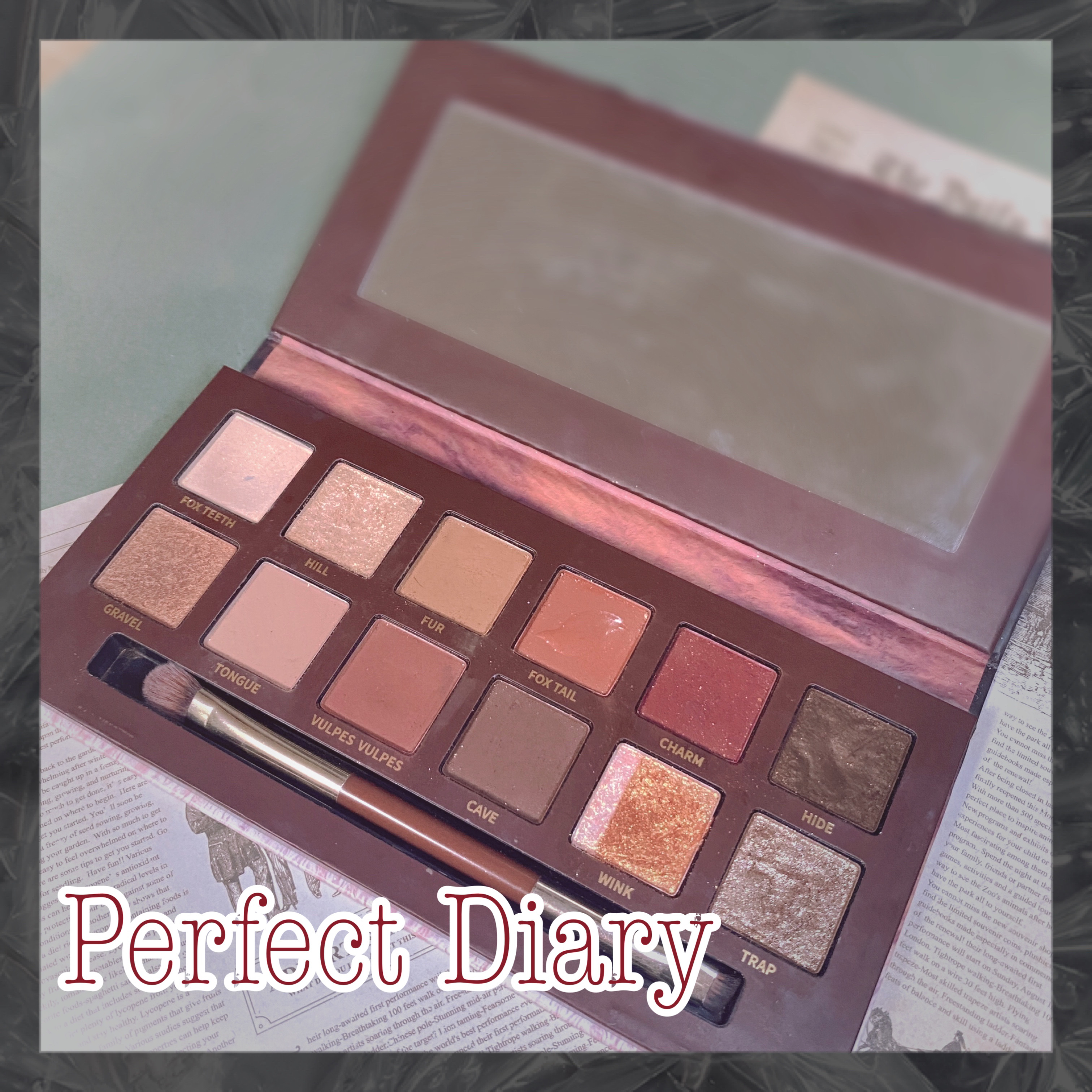 エクスプローラ12色 動物アイシャドウパレット/PERFECT DIARY/アイシャドウパレットを使ったクチコミ（1枚目）