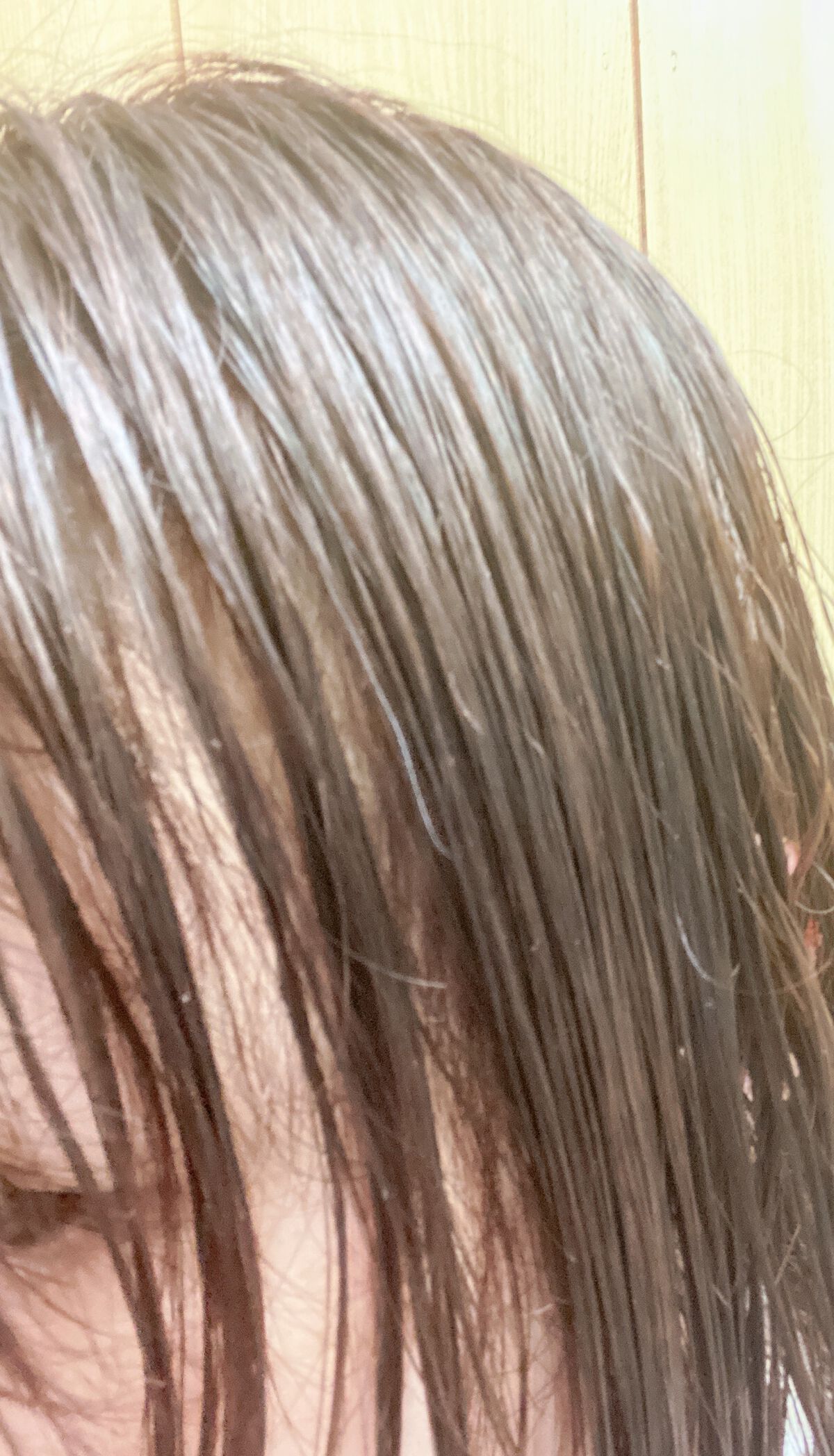 カラージェニック ミルキーヘアカラー (ちらっと白髪用)/サイオス/ヘアカラーを使ったクチコミ（2枚目）