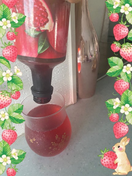 美酢 (希釈タイプ)/美酢(ミチョ)/その他飲むお酢を使ったクチコミ(2枚目)