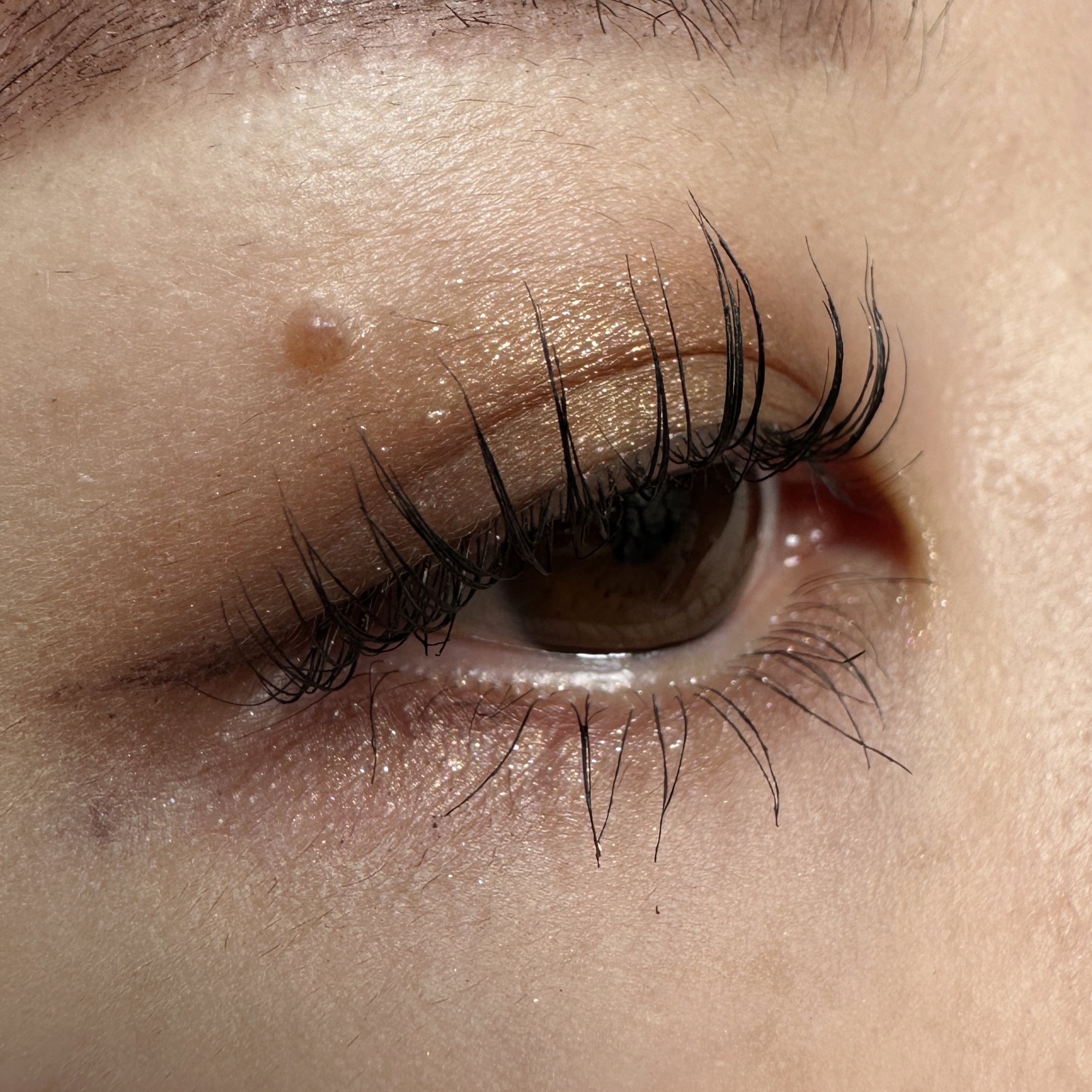 パーフェクトエクステンション マスカラ/D-UP/マスカラを使ったクチコミ（3枚目）