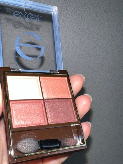 スキニーリッチシャドウ/excel/アイシャドウパレットを使ったクチコミ(2枚目)