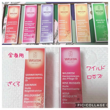 フォレストハーモニー オイルコレクション/WELEDA/スキンケアキットを使ったクチコミ(1枚目)