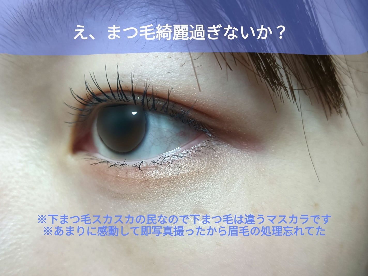 マジョリカ マジョルカ ラッシュエキスパンダー ドーリーカール/MAJOLICA MAJORCA/マスカラを使ったクチコミ(1枚目)