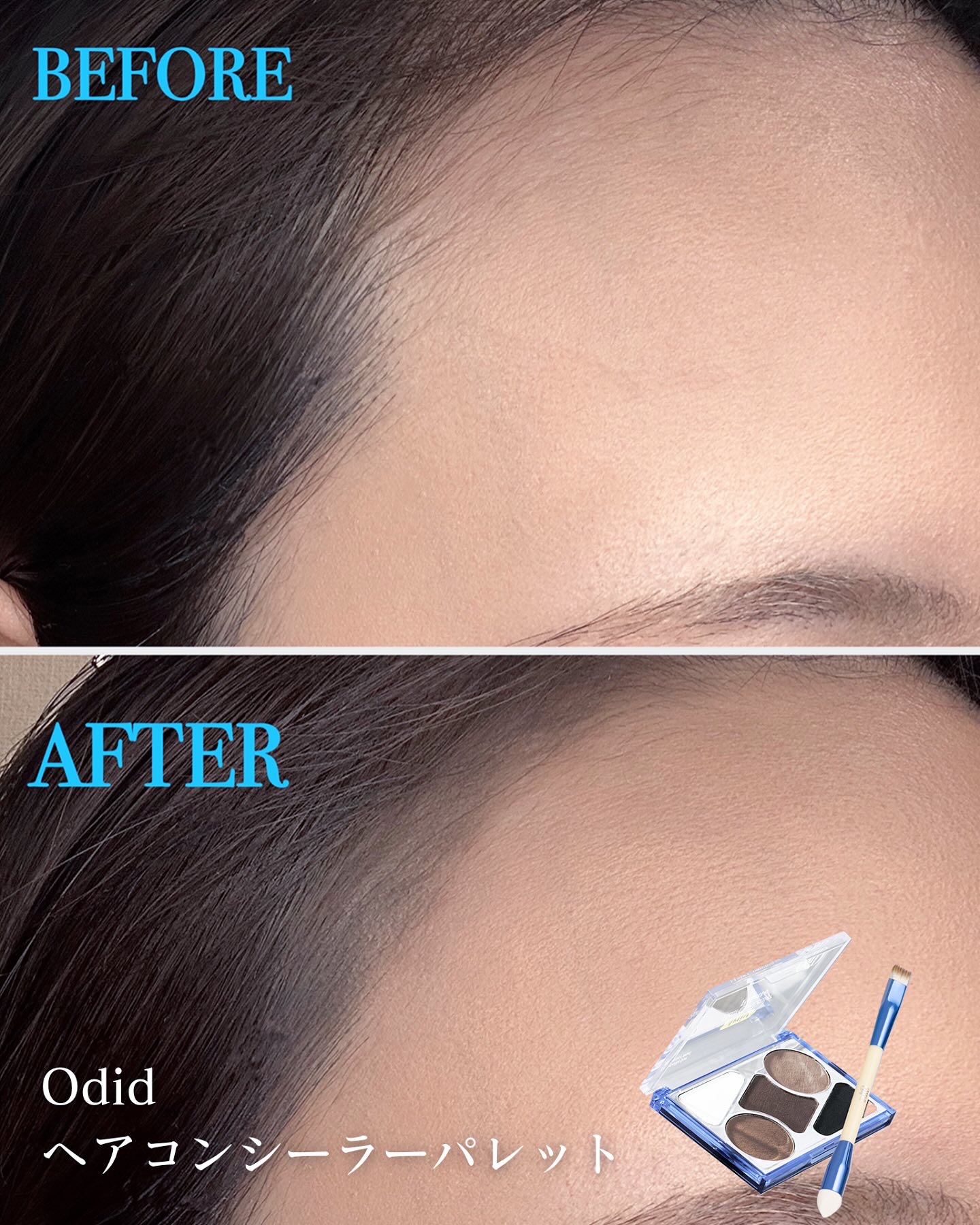 アーティストライン　ヘアコンシーラーパレット/odiD/その他スタイリングを使ったクチコミ（1枚目）