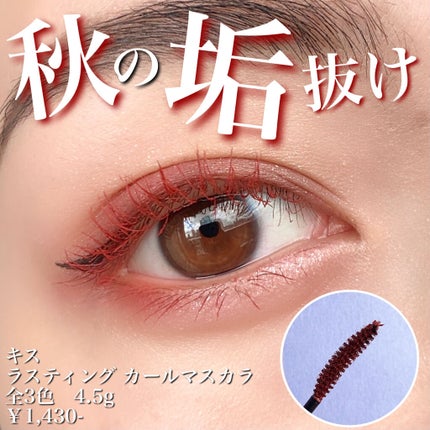 ラスティング カールマスカラ /KiSS/マスカラを使ったクチコミ(1枚目)