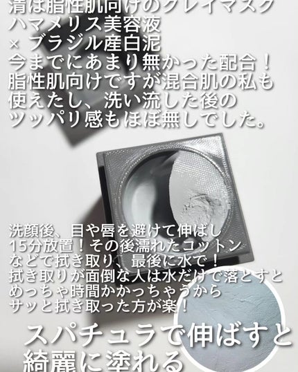 クレイパック 清 ダークグレー(さっぱり)/C+/洗い流すパック・マスクを使ったクチコミ(2枚目)