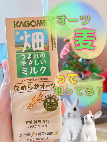 カゴメ 畑うまれのやさしいミルク なめらかオーツのクチコミ「美味しかった！🌾✨
KAGOMEの飲料はスーパーやコンビニでお手軽に買えるから、いつもお世話に.....」（1枚目）