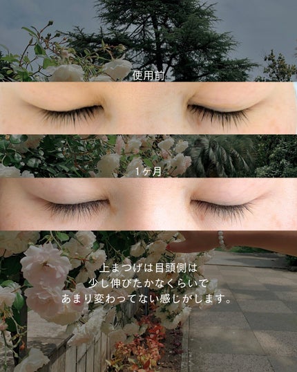 アイラッシュセラムEX/ヒロインメイク/まつげ美容液を使ったクチコミ(3枚目)