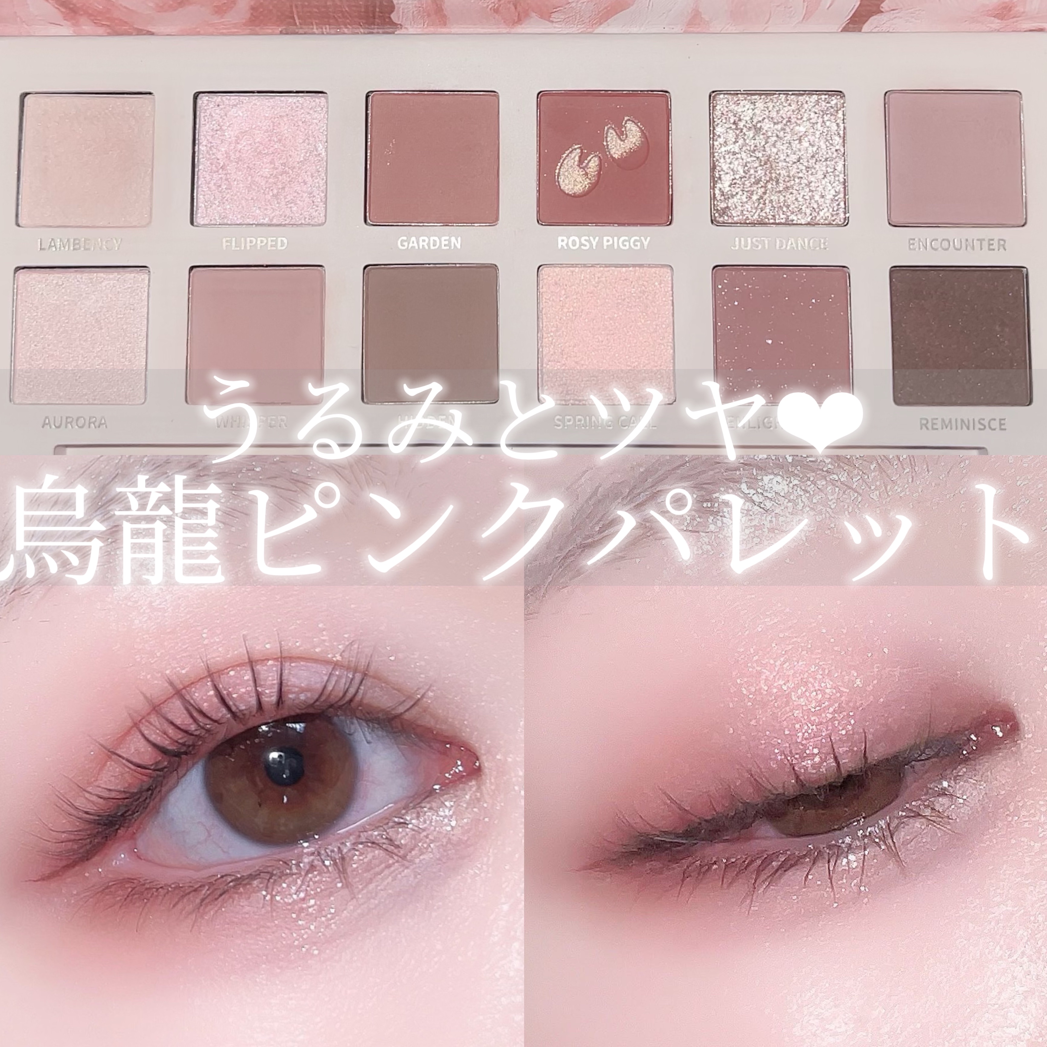 エクスプローラ12色 動物アイシャドウパレット/PERFECT DIARY/アイシャドウパレットを使ったクチコミ（1枚目）