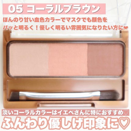 ノーズ&アイブロウパウダー/CEZANNE/パウダーアイブロウを使ったクチコミ(5枚目)