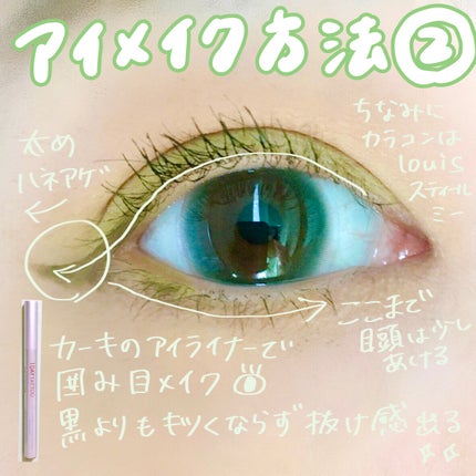 1DAY TATTOO プロキャスト ザ・アイライナー/K-パレット/リキッドアイライナーを使ったクチコミ(4枚目)