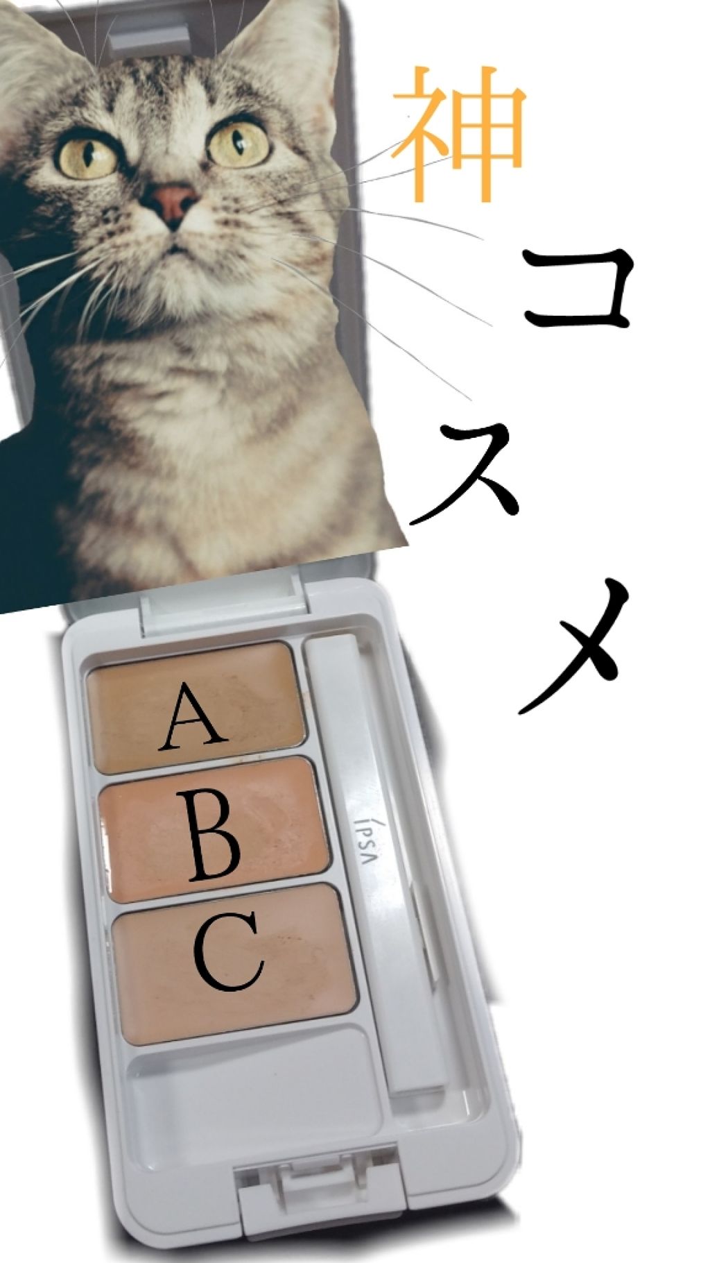 クリエイティブコンシーラーe/IPSA/パレットコンシーラーを使ったクチコミ(2枚目)