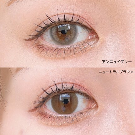 フェアリー ワンデー ニュートラルシリーズ/FAIRY/ワンデー(1DAY)カラコンを使ったクチコミ(4枚目)