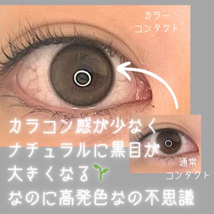 MOLAK 1day/MOLAK/ワンデー(1DAY)カラコンを使ったクチコミ(3枚目)