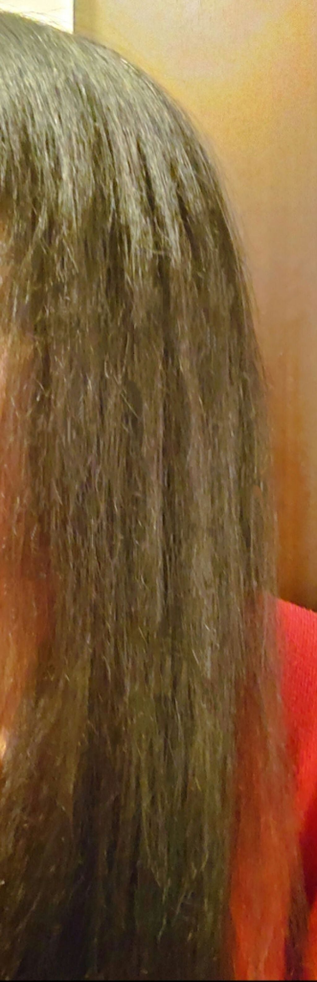 スーパーフードラボ オーガニックス シルキーリッチ シャンプー&トリートメント/SUPERFOOD LAB/市販シャンプーを使ったクチコミ(6枚目)