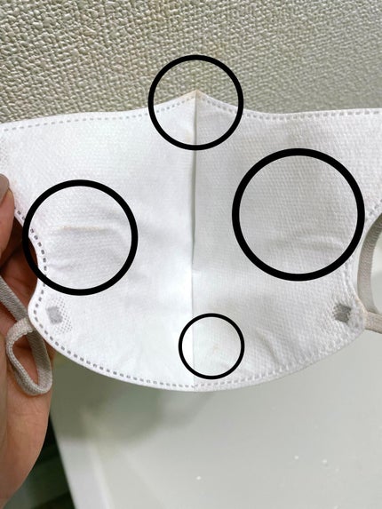 プロバイオダーム リフティング クリーム/BIOHEAL BOH/フェイスクリームを使ったクチコミ(3枚目)