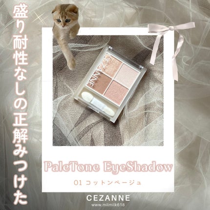 ペールトーンアイシャドウ/CEZANNE/アイシャドウを使ったクチコミ(1枚目)