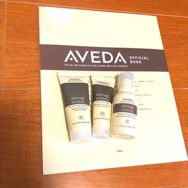 リストラクチュアリング シャンプー／コンディショナー/AVEDA/シャンプー・コンディショナーを使ったクチコミ（1枚目）