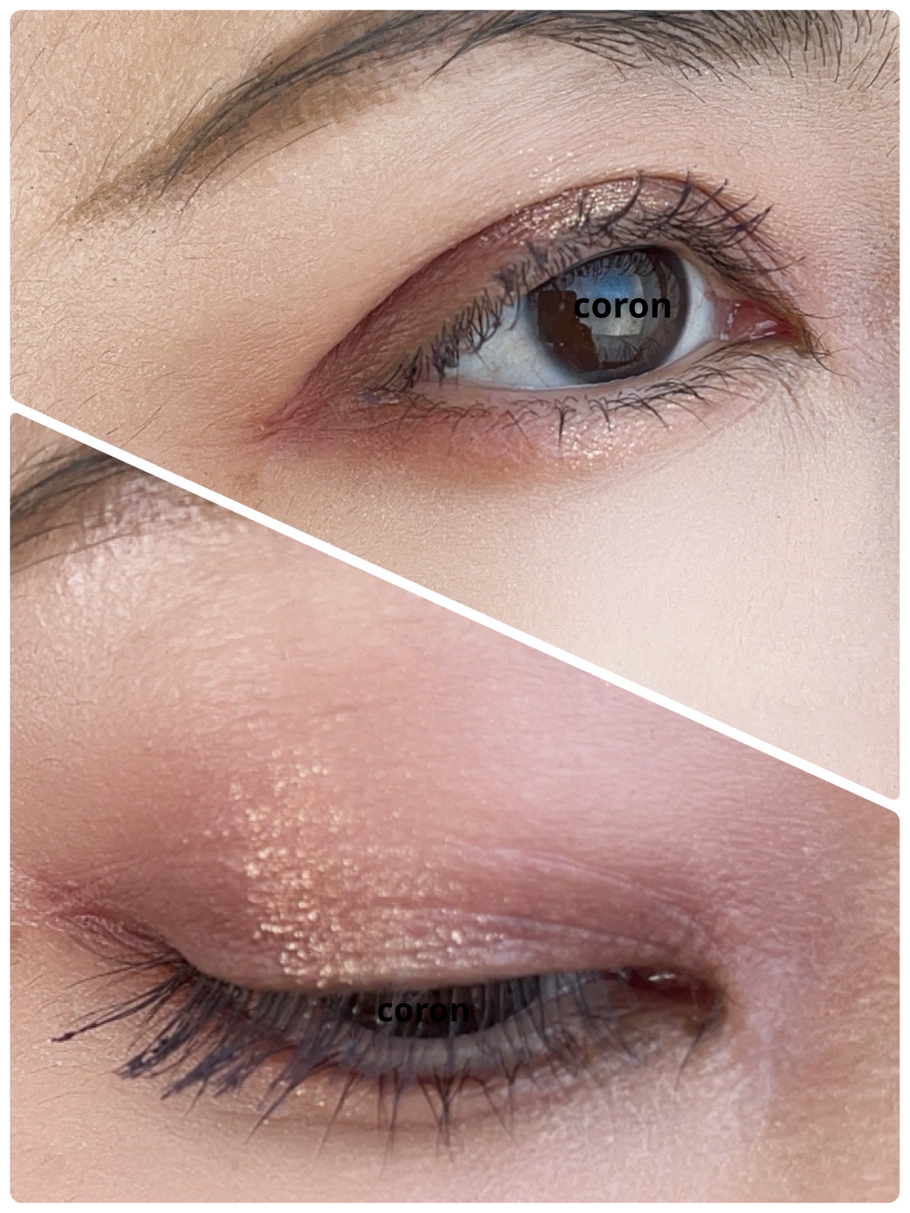 エクストラボリューム カラーマスカラ/Amplitude/マスカラを使ったクチコミ（2枚目）