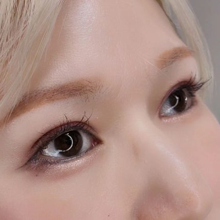 プライムリキッドアイライナー リッチジュエル/ヒロインメイク/リキッドアイライナーを使ったクチコミ(6枚目)