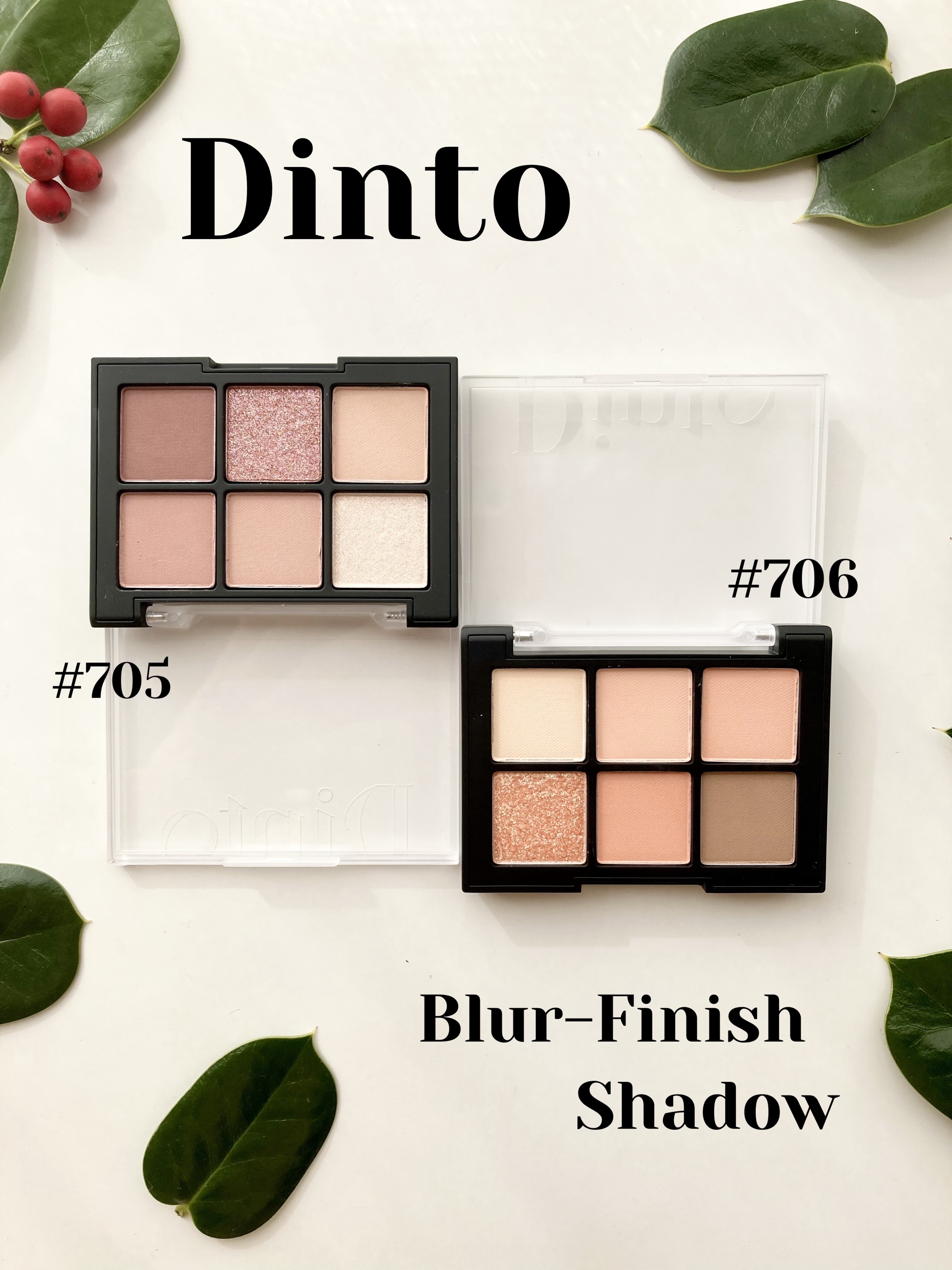 ブラーフィニシュシャドウパレット/Dinto/アイシャドウパレットを使ったクチコミ（1枚目）