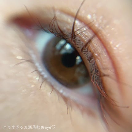 エテュセ アイエディション(マスカラ)/ettusais/マスカラを使ったクチコミ(4枚目)