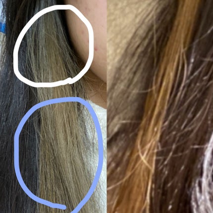 を使ったクチコミ(2枚目)