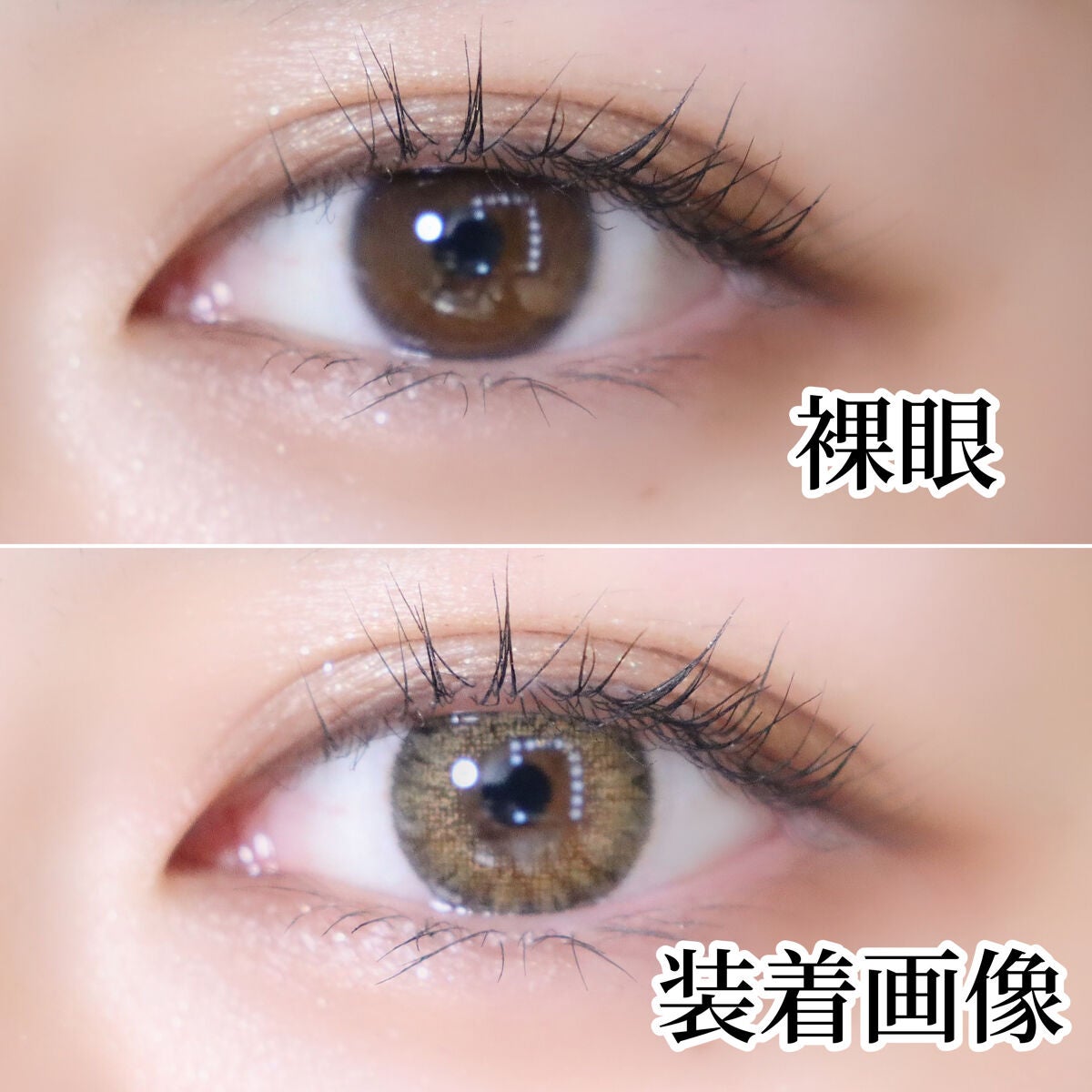 コーディビュー3カラーブラウン/蜜のレンズ/カラーコンタクトレンズを使ったクチコミ(3枚目)