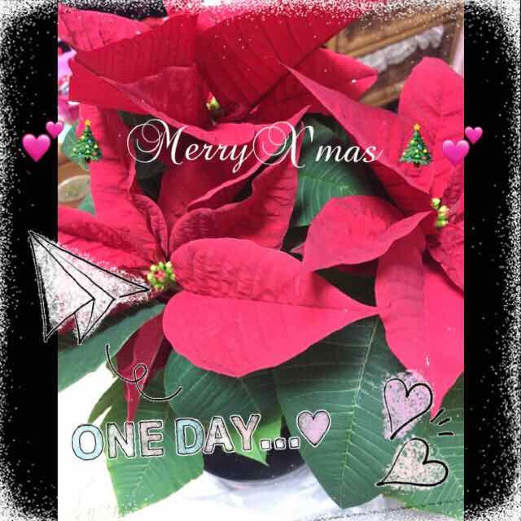 モイスチャーライジングニットマスク/Dermatory/シートマスク・パックを使ったクチコミ(2枚目)