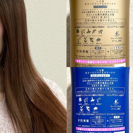 ãã¡ãŒãžãªãã¢ïŒã«ã©ãŒã±ã¢ ã·ã£ã³ããŒ/ã³ã³ãã£ã·ã§ããŒ/ãã¡é«ª/åžè²©ã·ã£ã³ããŒã䜿ã£ãã¯ãã³ãïŒ5æç®ïŒ